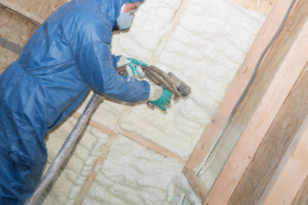 Best Insulation for New Construction  in Elkton, VA